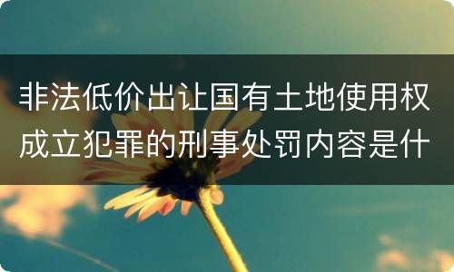 非法低价出让国有土地使用权成立犯罪的刑事处罚内容是什么