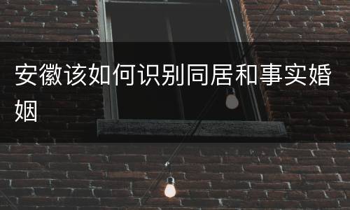 安徽该如何识别同居和事实婚姻