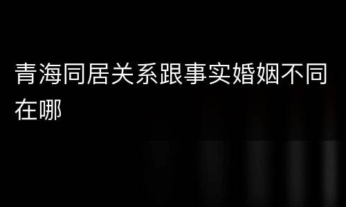 青海同居关系跟事实婚姻不同在哪