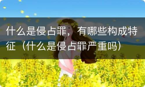 什么是侵占罪，有哪些构成特征（什么是侵占罪严重吗）