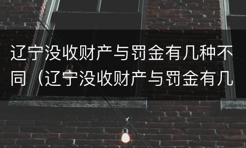 辽宁没收财产与罚金有几种不同（辽宁没收财产与罚金有几种不同处理方法）