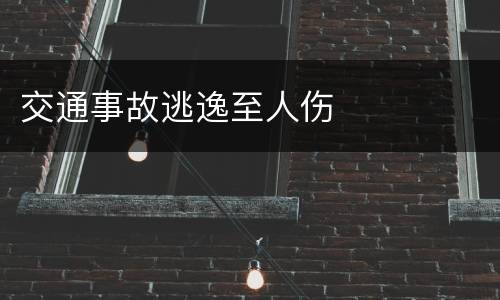 交通事故逃逸至人伤