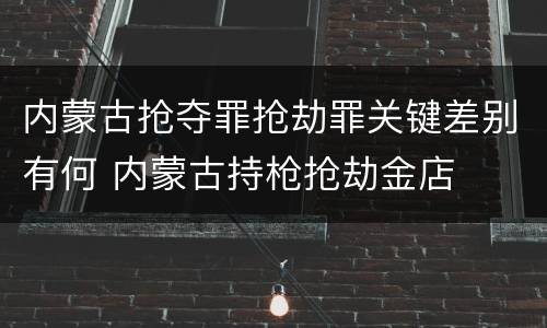 内蒙古抢夺罪抢劫罪关键差别有何 内蒙古持枪抢劫金店