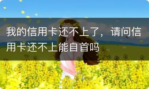 我的信用卡还不上了，请问信用卡还不上能自首吗