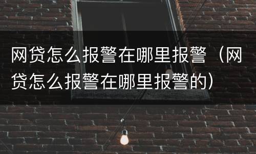 网贷怎么报警在哪里报警（网贷怎么报警在哪里报警的）