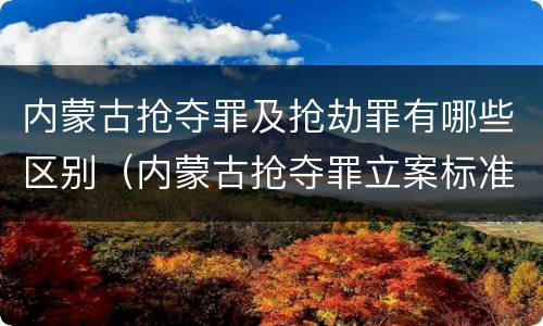 内蒙古抢夺罪及抢劫罪有哪些区别（内蒙古抢夺罪立案标准）