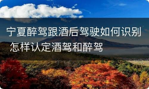 宁夏醉驾跟酒后驾驶如何识别 怎样认定酒驾和醉驾