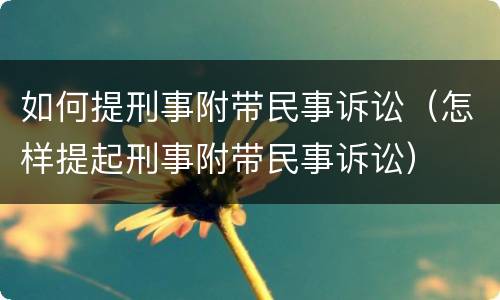 如何提刑事附带民事诉讼（怎样提起刑事附带民事诉讼）