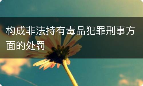 构成非法持有毒品犯罪刑事方面的处罚