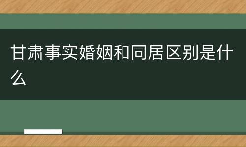 甘肃事实婚姻和同居区别是什么