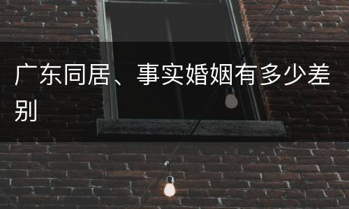 广东同居、事实婚姻有多少差别