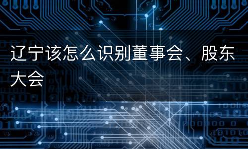 辽宁该怎么识别董事会、股东大会