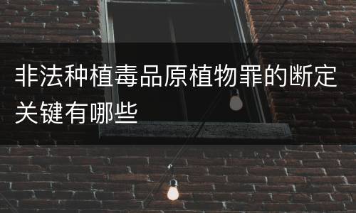 非法种植毒品原植物罪的断定关键有哪些