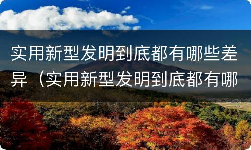 实用新型发明到底都有哪些差异（实用新型发明到底都有哪些差异和不足）