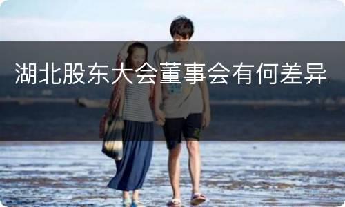 湖北股东大会董事会有何差异