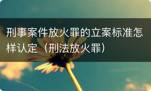 刑事案件放火罪的立案标准怎样认定（刑法放火罪）