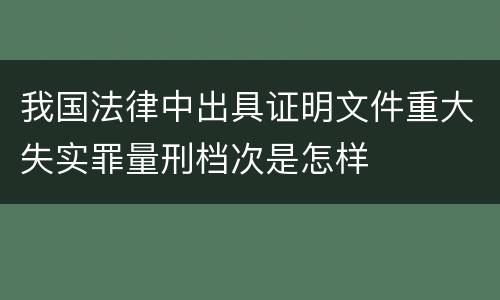 我国法律中出具证明文件重大失实罪量刑档次是怎样