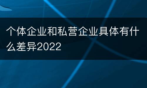 个体企业和私营企业具体有什么差异2022