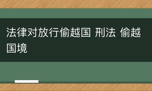 法律对放行偷越国 刑法 偷越国境