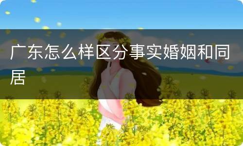 广东怎么样区分事实婚姻和同居