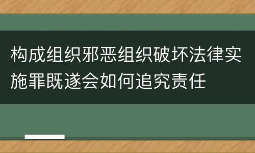 构成组织邪恶组织破坏法律实施罪既遂会如何追究责任