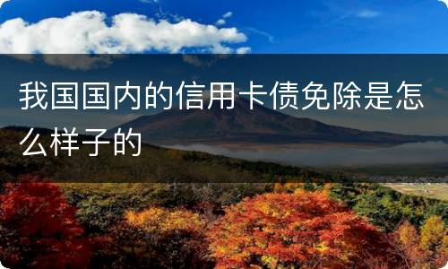 我国国内的信用卡债免除是怎么样子的