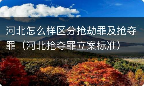 河北怎么样区分抢劫罪及抢夺罪（河北抢夺罪立案标准）
