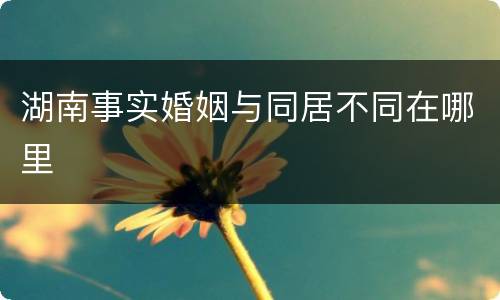 湖南事实婚姻与同居不同在哪里
