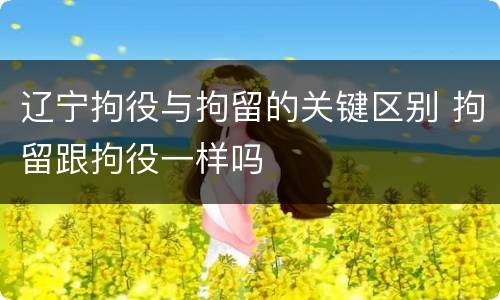 辽宁拘役与拘留的关键区别 拘留跟拘役一样吗