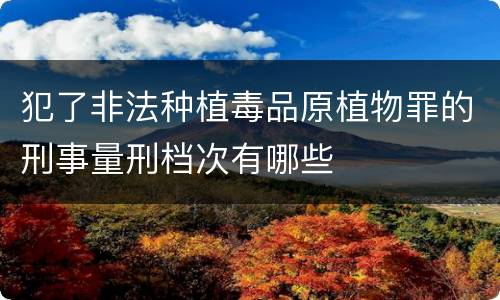 犯了非法种植毒品原植物罪的刑事量刑档次有哪些