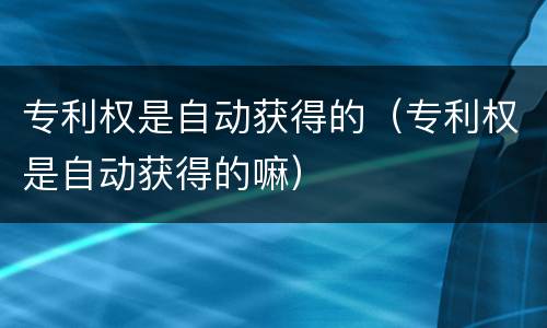 专利权是自动获得的（专利权是自动获得的嘛）