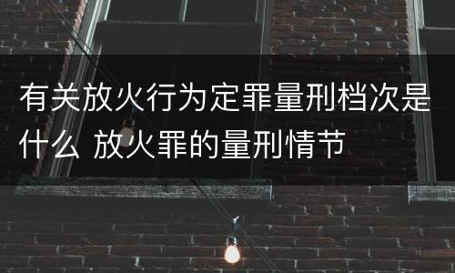 有关放火行为定罪量刑档次是什么 放火罪的量刑情节