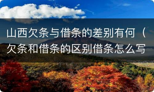 山西欠条与借条的差别有何（欠条和借条的区别借条怎么写）