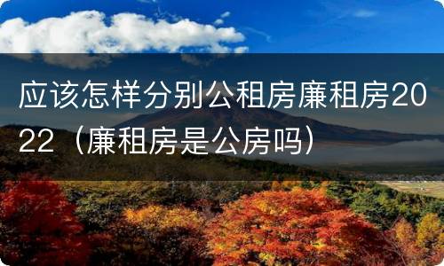 应该怎样分别公租房廉租房2022（廉租房是公房吗）