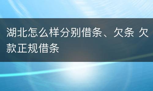 湖北怎么样分别借条、欠条 欠款正规借条