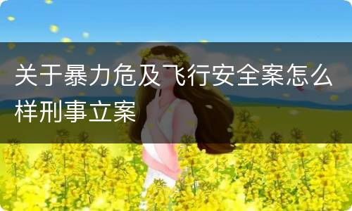 关于暴力危及飞行安全案怎么样刑事立案