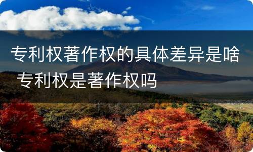 专利权著作权的具体差异是啥 专利权是著作权吗