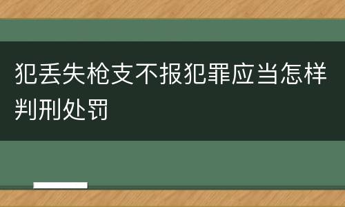 犯丢失枪支不报犯罪应当怎样判刑处罚