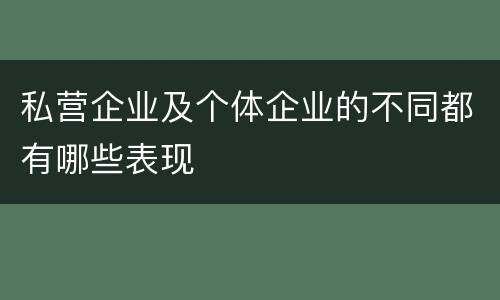 私营企业及个体企业的不同都有哪些表现