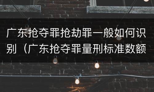 广东抢夺罪抢劫罪一般如何识别（广东抢夺罪量刑标准数额）