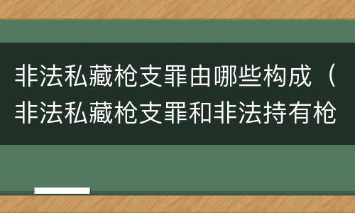 非法私藏枪支罪由哪些构成（非法私藏枪支罪和非法持有枪支罪）