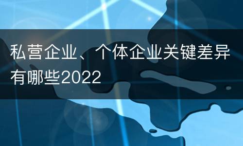 私营企业、个体企业关键差异有哪些2022