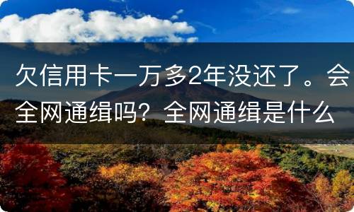 欠信用卡一万多2年没还了。会全网通缉吗？全网通缉是什么意思