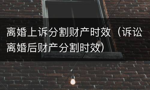 离婚上诉分割财产时效（诉讼离婚后财产分割时效）