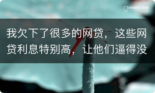 我欠下了很多的网贷，这些网贷利息特别高，让他们逼得没有能力偿还了，我该怎么办