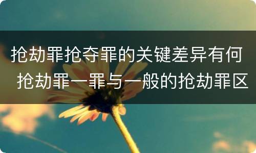 抢劫罪抢夺罪的关键差异有何 抢劫罪一罪与一般的抢劫罪区别
