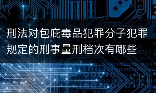刑法对包庇毒品犯罪分子犯罪规定的刑事量刑档次有哪些