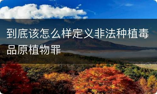 到底该怎么样定义非法种植毒品原植物罪