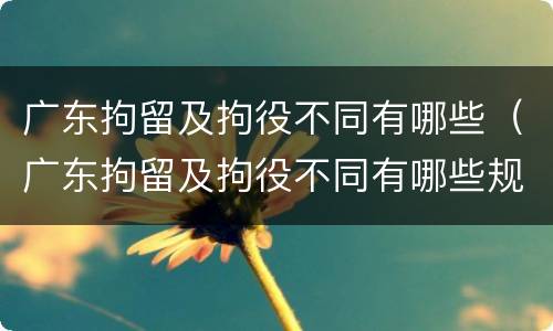 广东拘留及拘役不同有哪些（广东拘留及拘役不同有哪些规定）