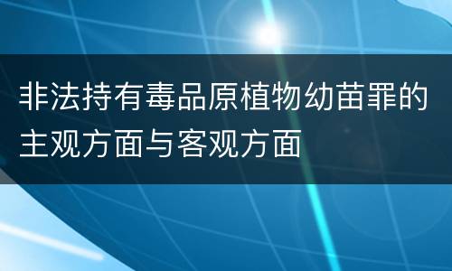 非法持有毒品原植物幼苗罪的主观方面与客观方面